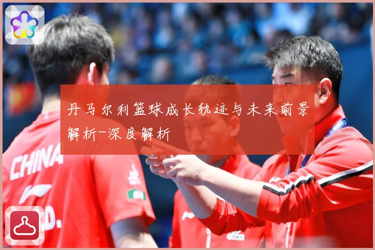 丹马尔利篮球成长轨迹与未来前景解析-深度解析